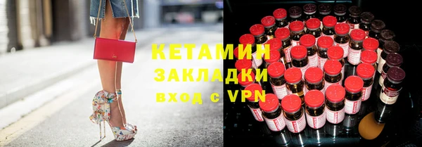 шишки Аркадак
