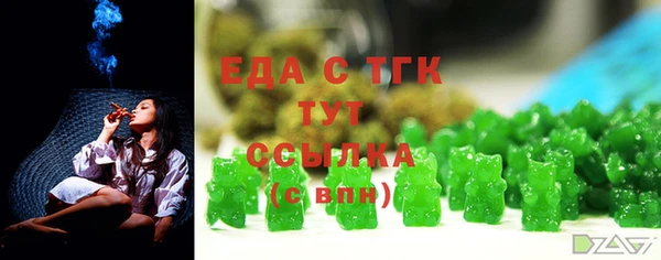 хмурый Арсеньев
