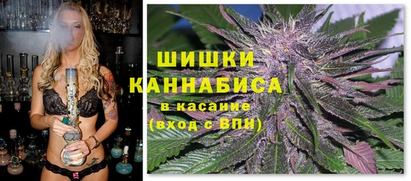 хмурый Арсеньев