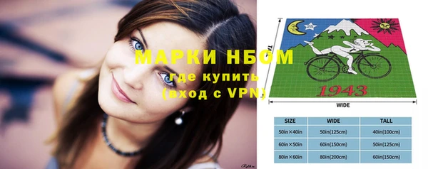 шишки Аркадак