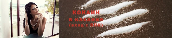 шишки Аркадак