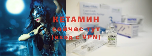 шишки Аркадак