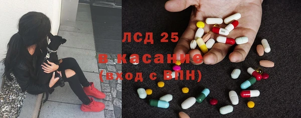 шишки Аркадак