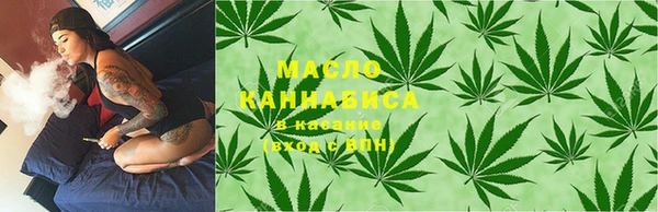 хмурый Арсеньев