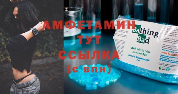 шишки Аркадак