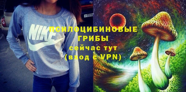 хмурый Арсеньев