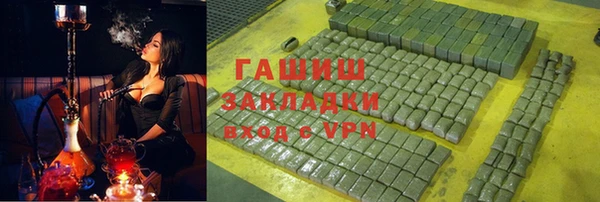 хмурый Арсеньев