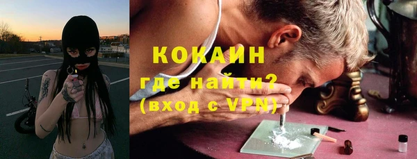 хмурый Арсеньев