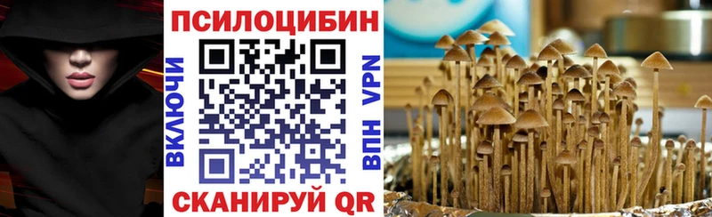 мориарти телеграм  Пыталово  Псилоцибиновые грибы GOLDEN TEACHER  цена наркотик 